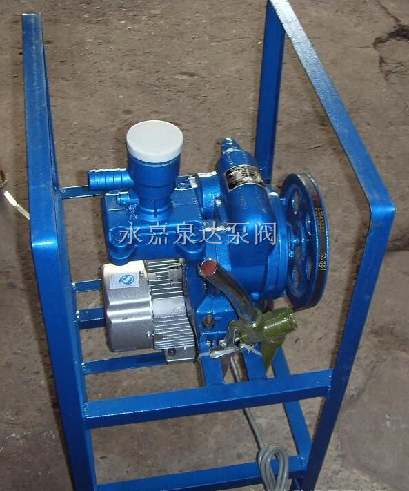 電動、手搖二用計(jì)量加油泵