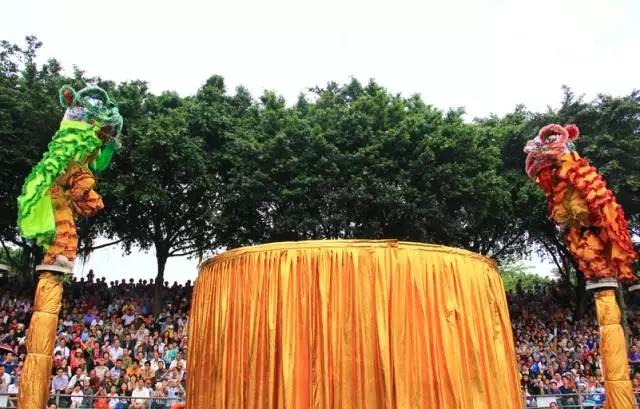 漆強化工資訊_獅王爭霸