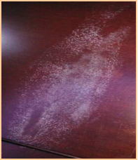 油漆涂裝表面發(fā)白